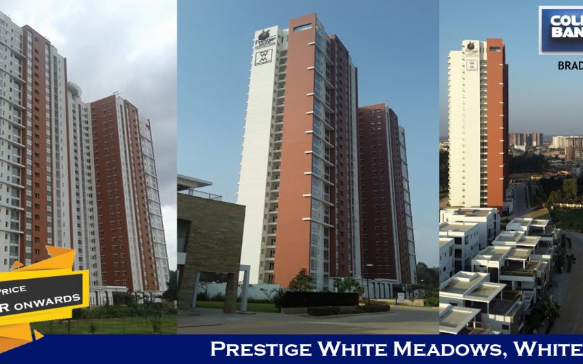 Prestige White Meadows