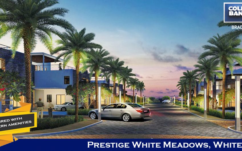 Prestige White Meadows